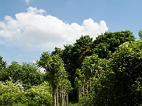 056