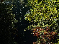 24 : Herbst, Insel Hombroich