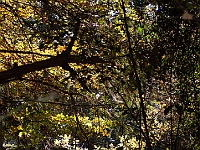 41 : Insel Hombroich