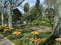 02 DSC2556 Park  Auch hier wieder tausende blühende Tulpen.