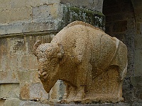 035  Der Stier - Vorbild für die Höhlenmaler.