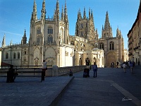 4. Tag Burgos